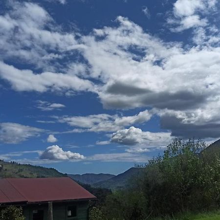 Agriturismo Il Mulino Stibiveri Εξωτερικό φωτογραφία